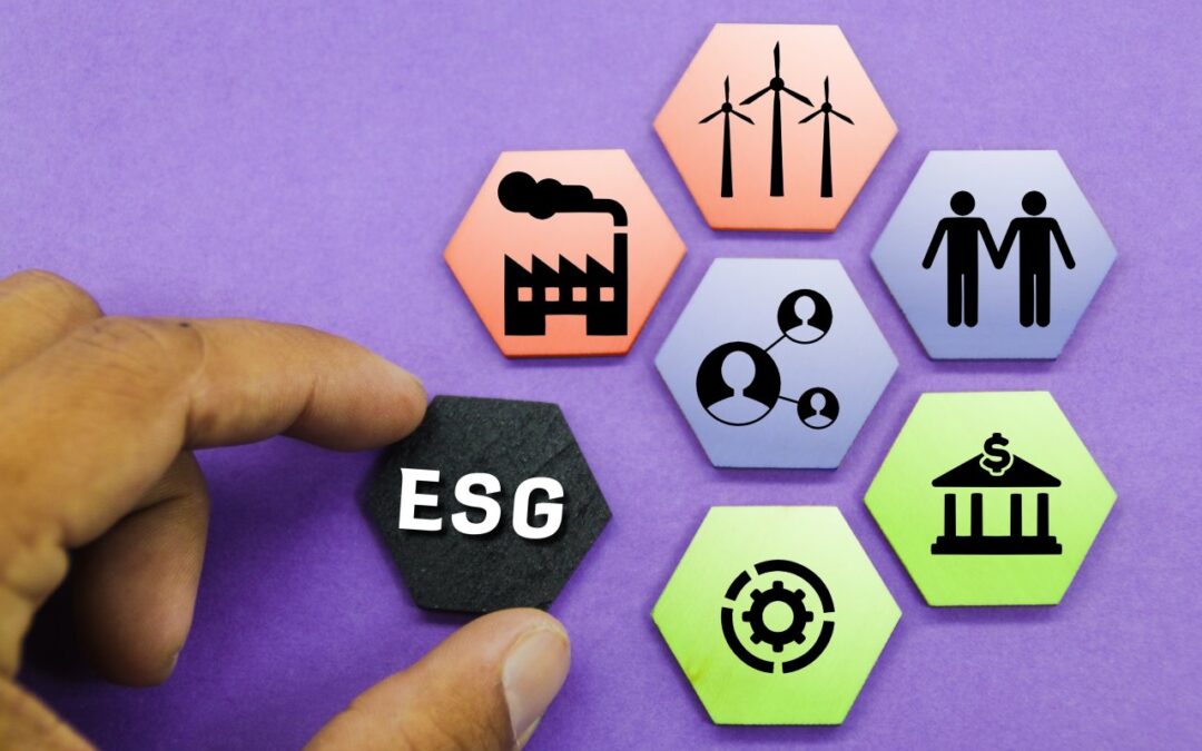 Jak przygotować MŚP do raportowania ESG bez tworzenia zbędnej biurokracji?