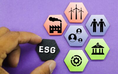 Jak przygotować MŚP do raportowania ESG bez tworzenia zbędnej biurokracji?