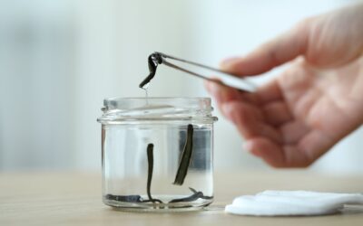 Katalog gabinetów hirudoterapii online – co sprawdzić w profilu i formularzu kontaktowym?